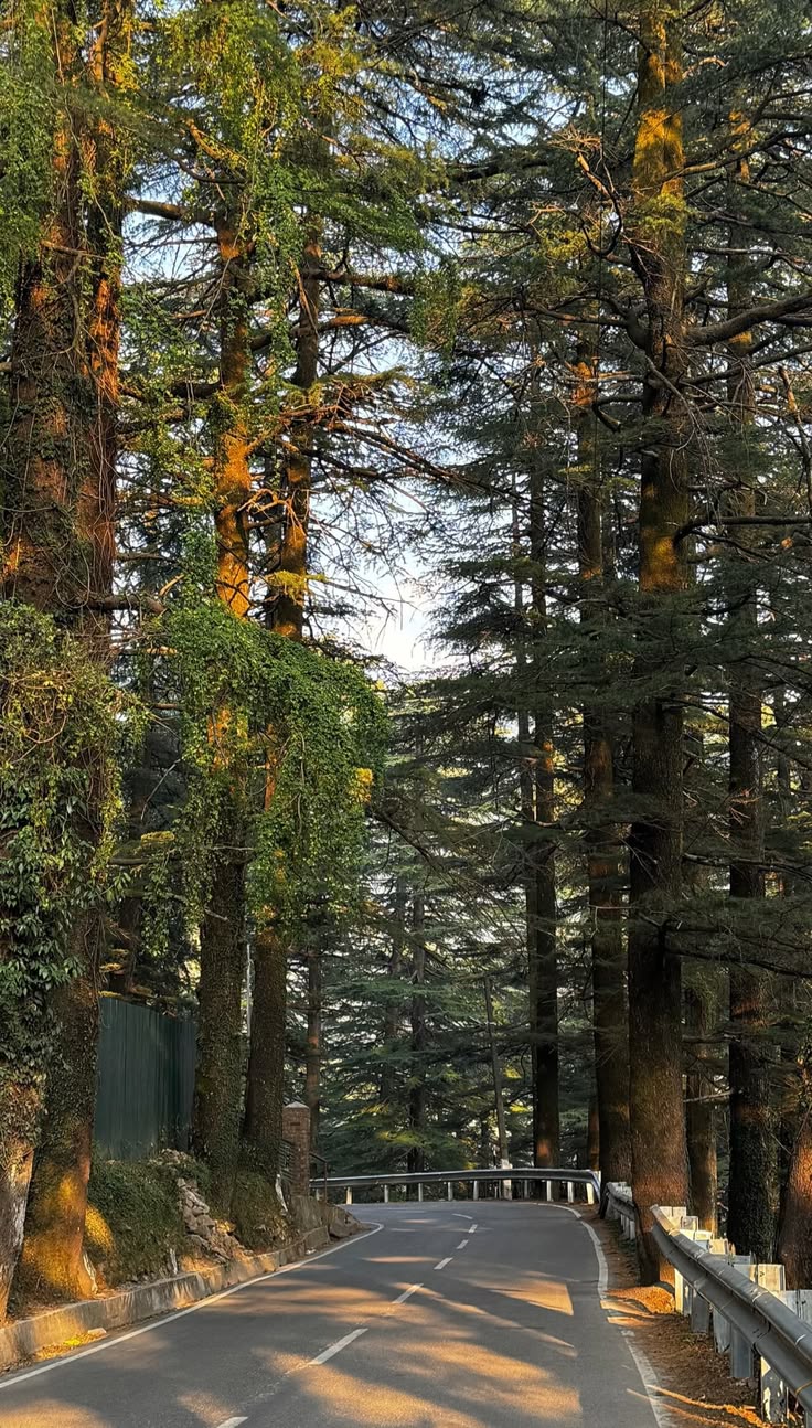 Mussoorie to Chopta